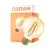 Osram Vintage 1906 LED E27 Globe Filament Goud 7.2W 806lm - 824 Zeer Warm Wit | Vervangt 60W